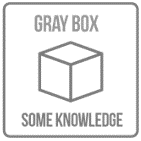 gray-BOX penetration TEST